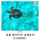 카포인트 | 보홀 호핑투어 현지인 투어로 저렴하게 다녀왔어요 (발리카삭, 스타카포인트, 버진아일랜드)