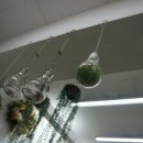 부엉이랜드 이미지