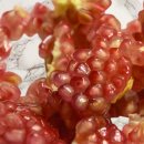 워너짐 수영구 이미지