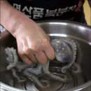 뻘낙지 - 목포시 원형로 44-2 | 뻘낙지
