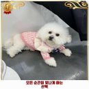 리츠펫 서산호수공원점 이미지