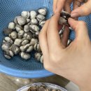 역전꼬막 이미지