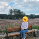 은하수반점