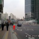 장수갈매기 이미지