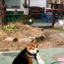 별빛바다펜션 이미지