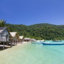 Stay Surin 이미지