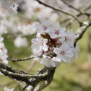 예래 본향당 이미지