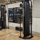 머슬프리덤 이미지