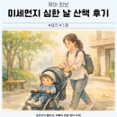 아서의집 | 미세먼지 심한 날 아서와 산책해본 후기, 제가 바꾼 5가지