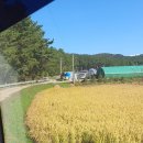 이곡1리 다목적회관 | 포지3리와 쇠평이를 가본 태안 버스 여행기