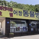 어정동물병원 이미지