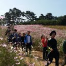 만추 이미지
