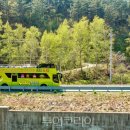 아리랑열차 연계형 시티투어2 이미지