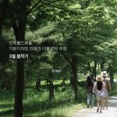 인치볼드서울 이미지