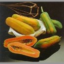 호텔파파야 이미지