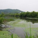 김해시, 화포천습지 생태관광구역 지정 추진 이미지
