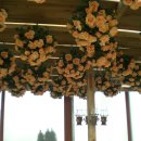 광명농원 이미지