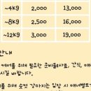 아띠라미 이미지