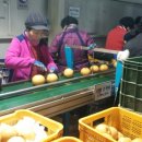 배골농장 이미지