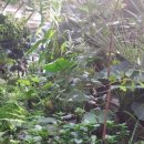 양주밥상 이미지