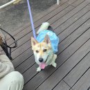 Vision 수정란이식센터 | [난임일기] ep.11 시험관 동결이식 5일 배아 후기