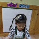 미니롤김밥
