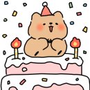 유카스테라 - 창원시 성산구 신사로 121 | 유카스테라