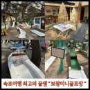 [속초여행] 필수코스 보광미니골프장 with카페18홀 추천 내돈내산
