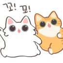 화정천서로 이미지