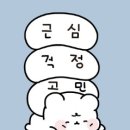 어울림동물병원 이미지