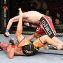 데이빗짐 이미지