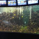 고성박물관 화장실 이미지