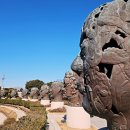 까멜리아 이미지