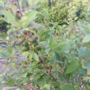 성무농장 이미지