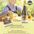 디오니스토어 - 화성시 동탄기흥로520번길 13 | 디오니스토어