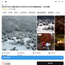 영은카서비스 | 나고야 시라카와고 투어 다카야마 버스투어 비교 추천 날씨 내돈내산 후기 + 맛집 추천 🍣