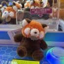 또또인형뽑기 이미지