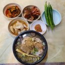 백년양계장 티스토리