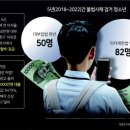 비사채 이미지