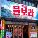 물보라남포 이미지