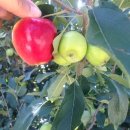 새천년농장 이미지