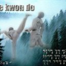 한누리 태권도 Daum카페