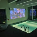 키키디디 이미지