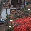 청일가든 이미지