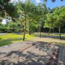 안태울캠핑장 이미지