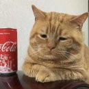 멈무