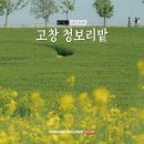 명목농장 | 고창 가볼만한곳 학원농장 청보리밭 주차 입장료 정보