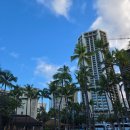 하와이 훌라댄스 (초급반) | 하얏트 리젠시 와이키키 비치 하와이 호텔 수영장 리조트피 숙박 후기