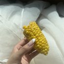 케이살롱(K Salon)