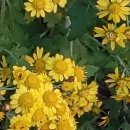 살같은~~^^ 이미지